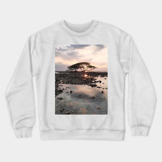 Single tree at Gili Trawangan beach Crewneck Sweatshirt by kall3bu